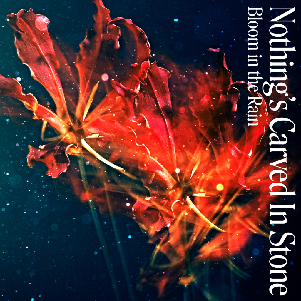 Digital Single『Bloom in the Rain』