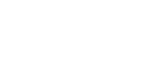 Newspeak